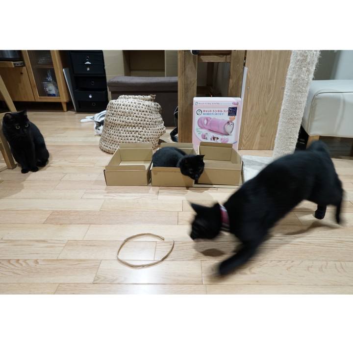 B45711fa c95b 4c48 925d 4e048ad998ae 1559691821213