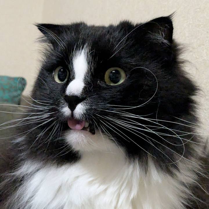 B457216c e02d 47b3 81b9 b3593887b2c5 1748144752613