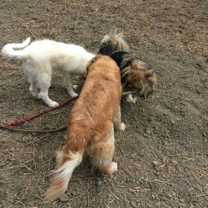 B45761b2 e492 4777 9650 f9358ea72917 1534295743814