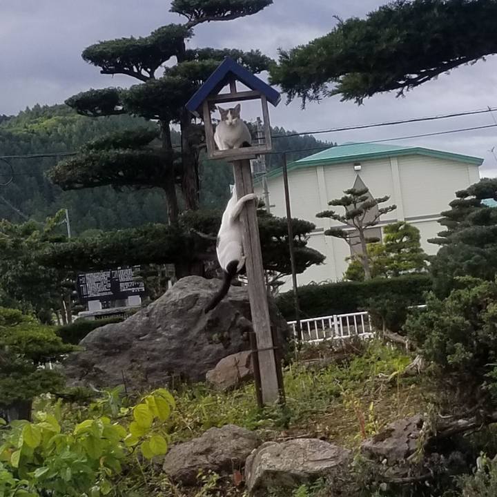 B4578bc0 c9a8 4cc1 abd3 e820c3bebc7f 1568960953458