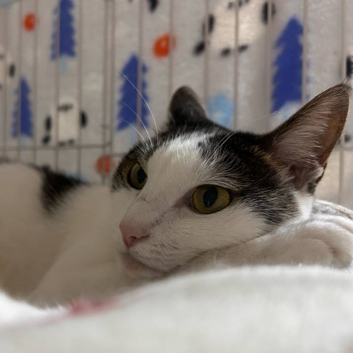 B4578f83 905c 4afe 9e05 b957a948178f 1756126685952