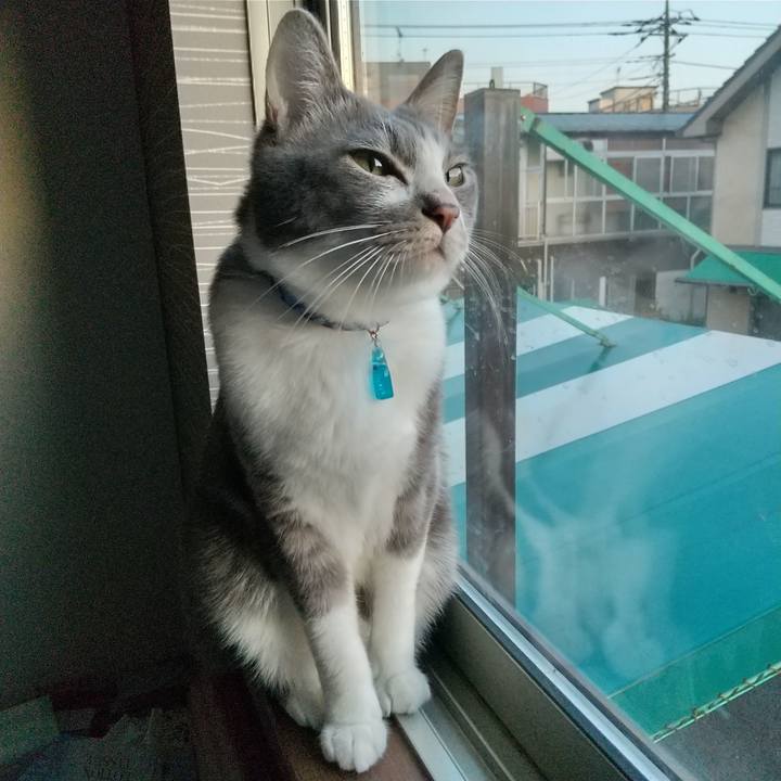 B457973a 1f2f 468f 83f3 2d7678ab350e 1616967434656