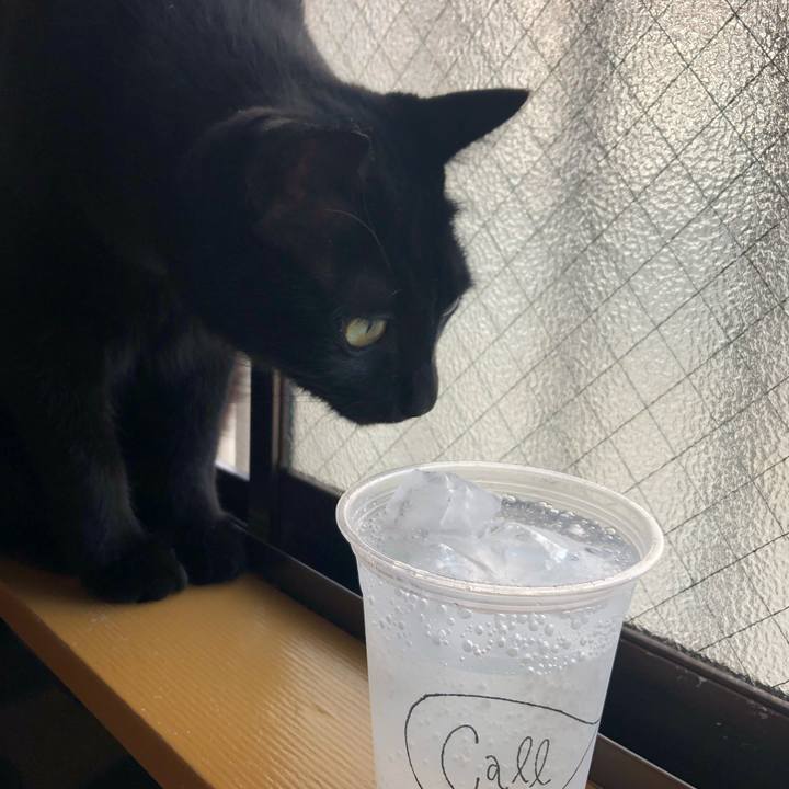 B457a745 aa2d 463b aab5 e39a6dcf44e3 1564814375089