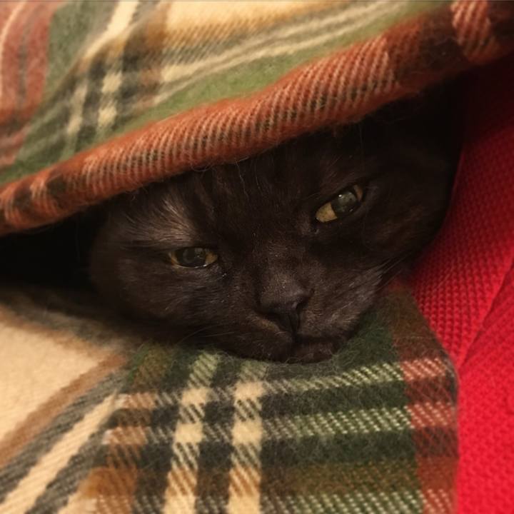 B457acd4 b320 44ed a91a a2bfebf00b44 1542387141759