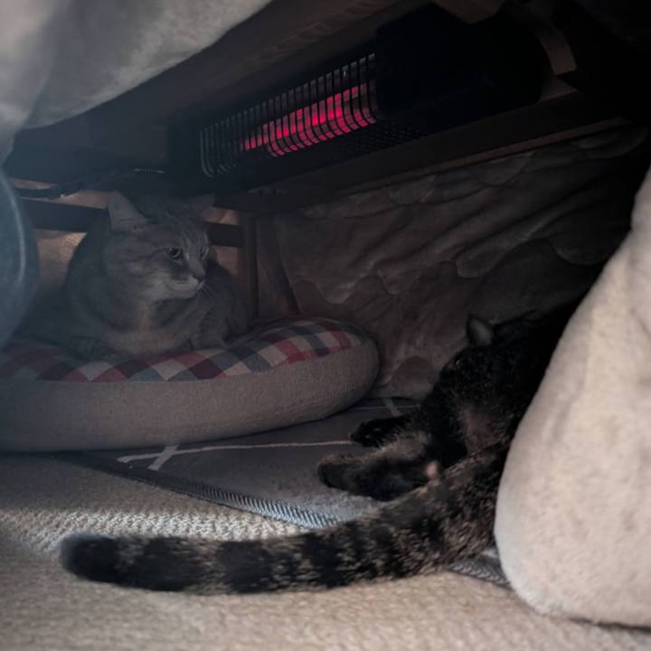 B457b969 db49 42bd 8ac3 403a1361a073 1764310300056