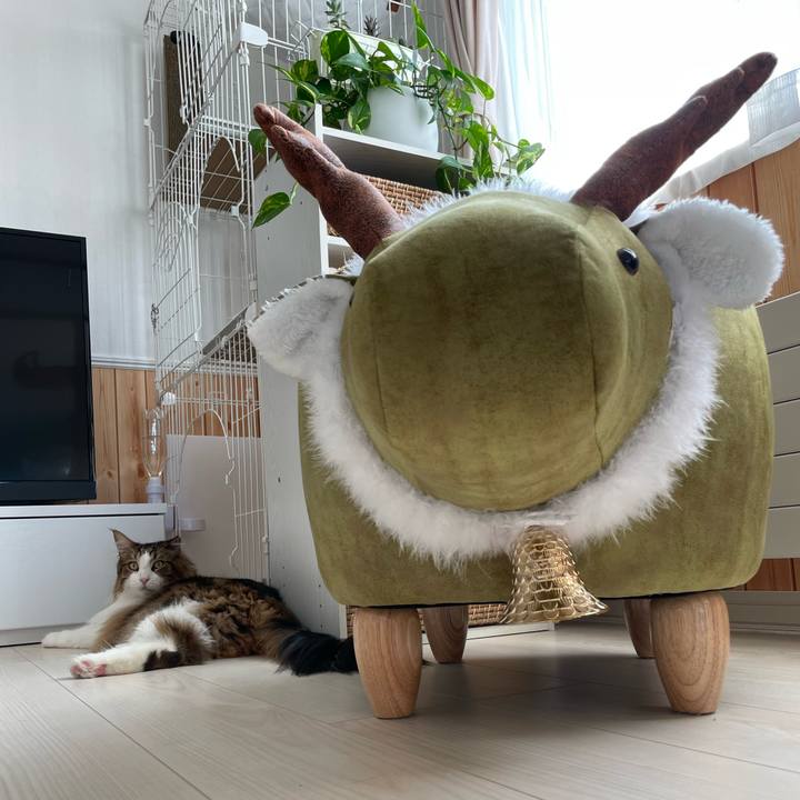 B457c9c8 7f57 44b4 8e57 d174c37513fc 1682374069859