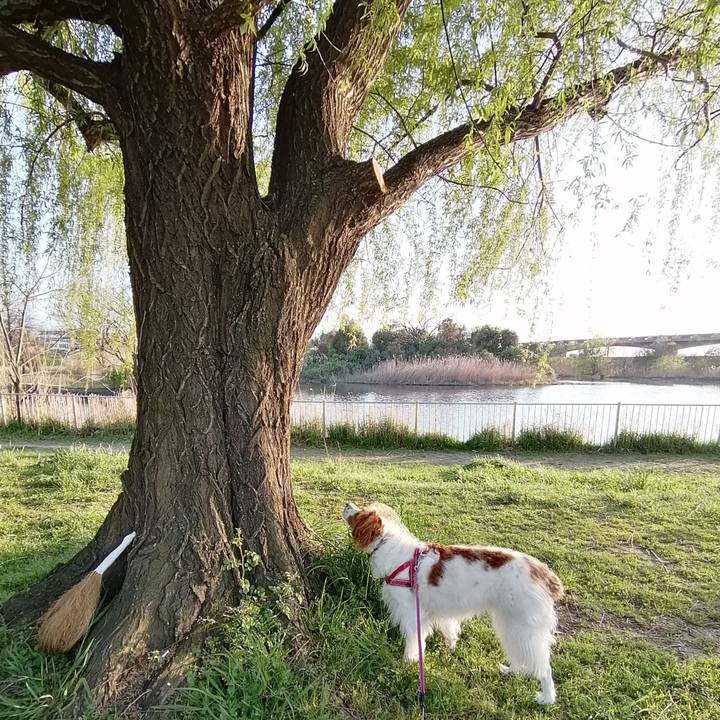 B457d3a9 543a 4496 8a2c 4086f8b89b84 1586171864634