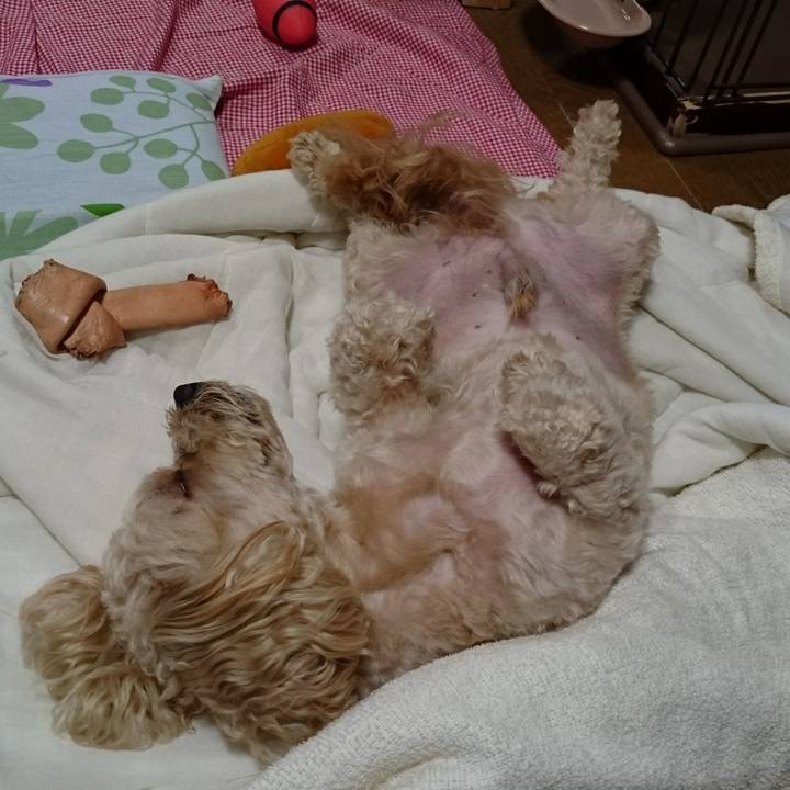 B457d9da 1708 48de 8c74 821a96f51fea 1528638491989