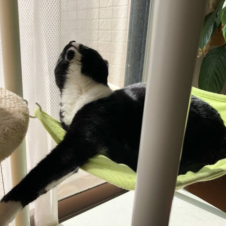 B457df2d e223 4380 9f6f 25e38691755b 1518989742277