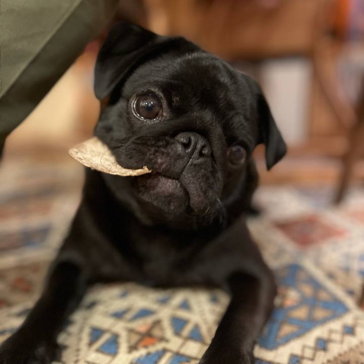 B457df7e fe68 455e bcf7 518caca27d00 1616586575275