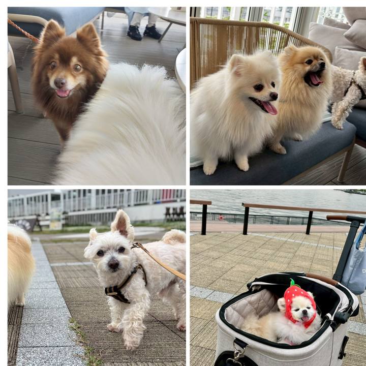 B4580714 09b2 4d9f ad5b 345109808ba9 1745640258879