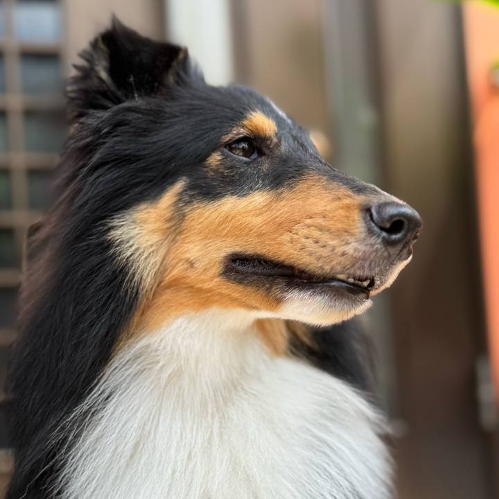 B45825df 6691 4690 8ef5 27f56018971a 1759423770213