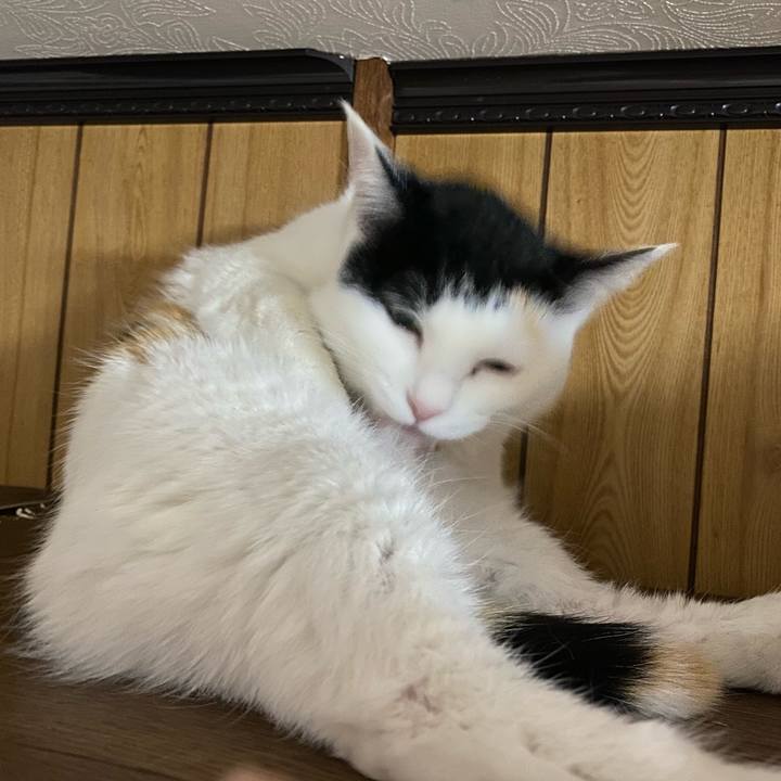 B4583694 97a7 412c 90e7 c1938f242de6 1648216290202