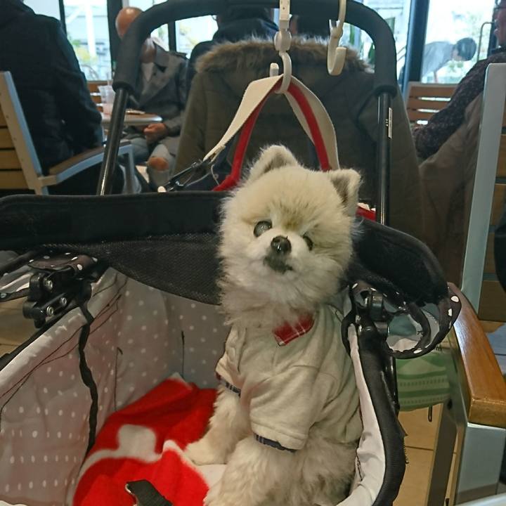 B4583dbc 9567 47e7 989e 75a951718b39 1517668973600