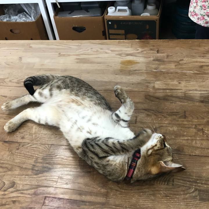 B45846db 91e0 45a3 97fa 9091127bddb0 1620460561988