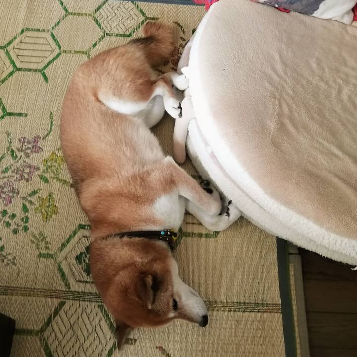 B45850eb da2f 430c 993a f6eafbb76103 1629864296838