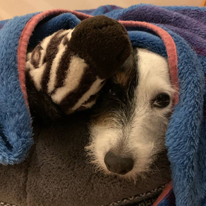 B4587e3a 9208 4639 a6f0 95b21a1a61e7 1669034166619