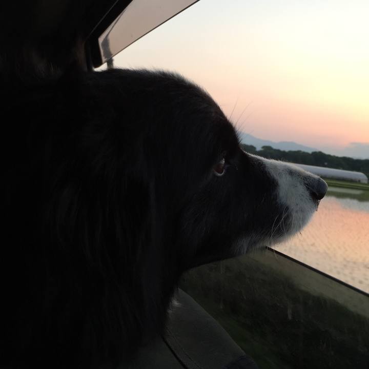 B45893a9 6266 4dc6 a349 1b0d70b56579 1529836731582