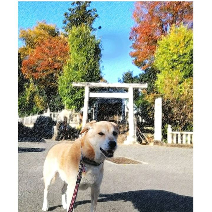 B458a717 b56e 462c 9563 b152e49bac41 1605965387324