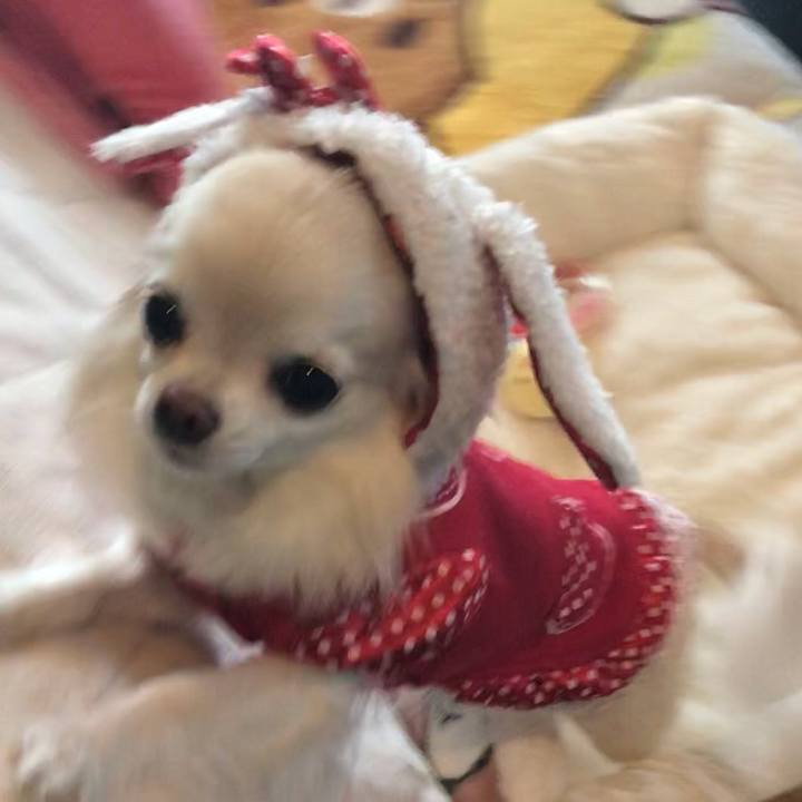 B458ac10 3566 474f bd14 399f53955a1c 1510531244122