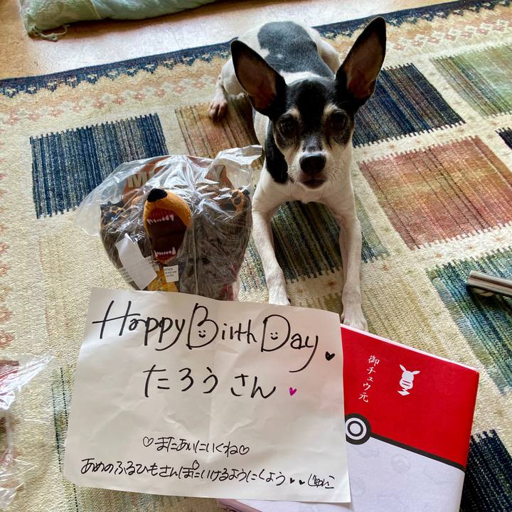 B458bf96 b497 4d0c 888d 877fc471b3e8 1593920345318