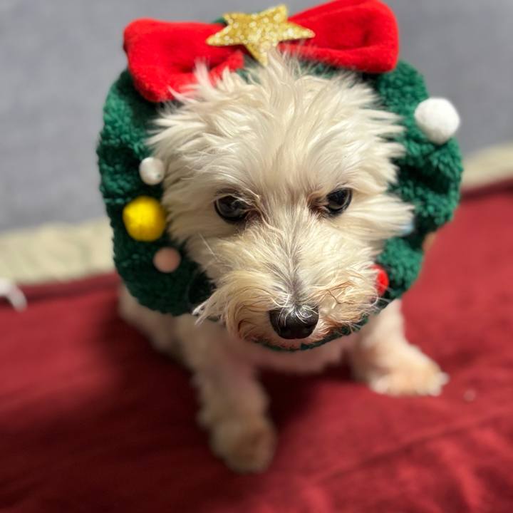 B458c3f1 ec08 4546 b4d3 dafe82385f69 1762952991986