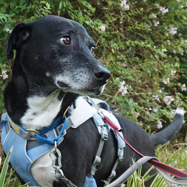 B458ce7f fe60 43b2 8476 79a0203d3c9a 1755819715556