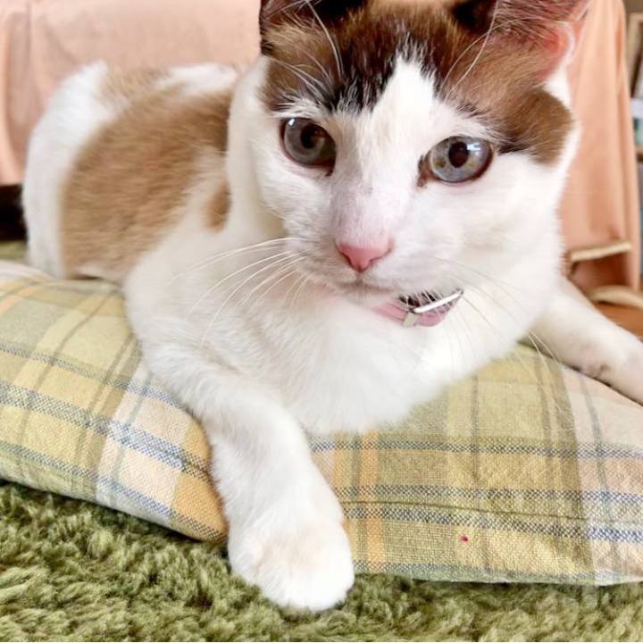 B458ec8f 87b2 44b9 8eb8 a26c075eb633 1680871959895