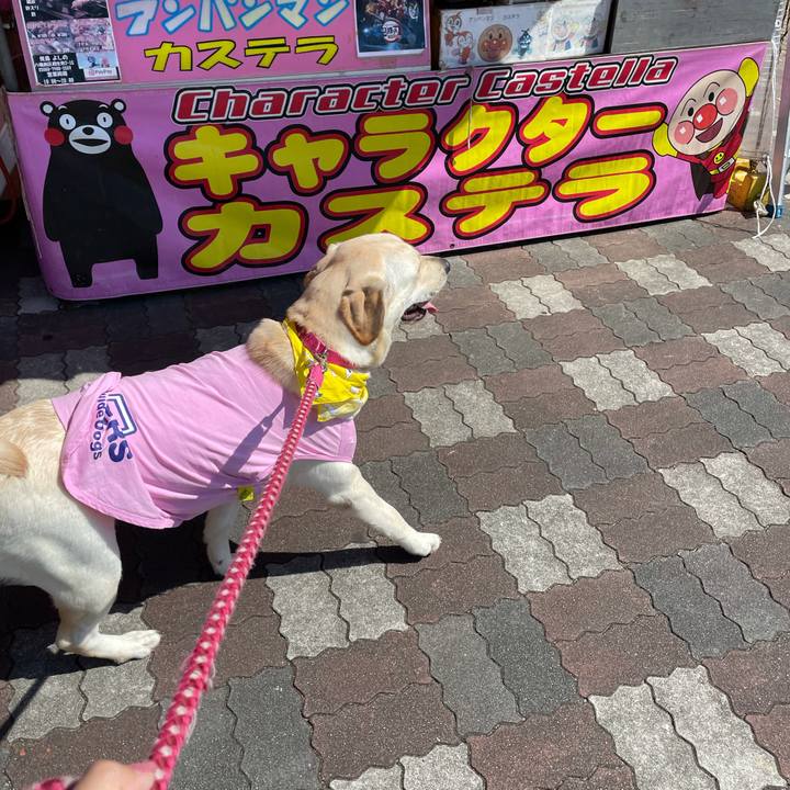 B459002f 4d11 4916 889f 81834658d5b2 1633492900911