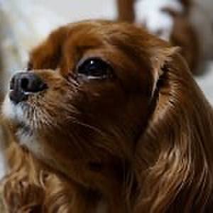 B4590f71 6855 48b0 bf4d 733b29db115a 1587482513861