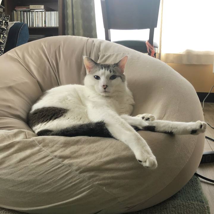 B45915a6 6e59 45bc accd 5736bff77825 1672099473411