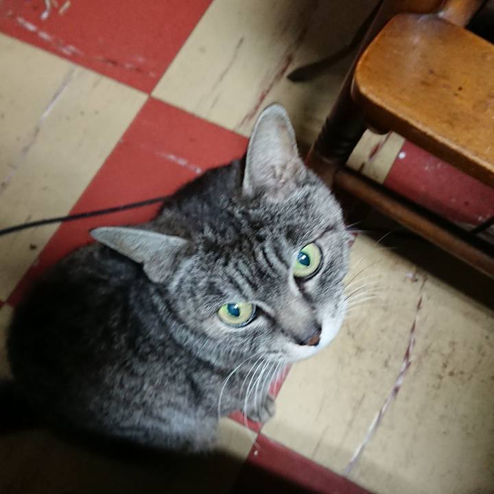 B4593f47 11eb 4855 9494 e625c7ca0c8f 1551181536470