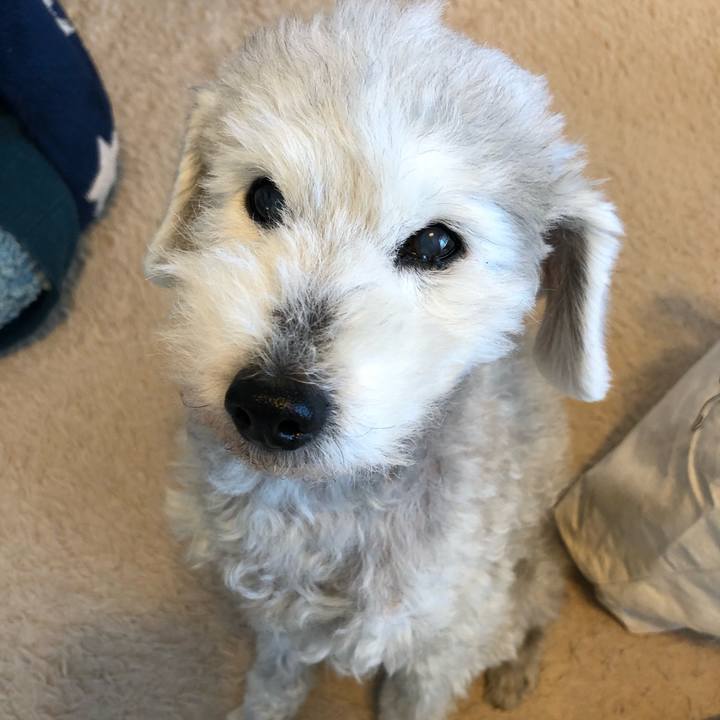 B45952f5 53f8 4955 a1c9 b89edf26f091 1646266544031