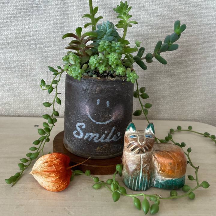 B45a11fc 8954 455b b8a6 6434efa267cd 1771740823305