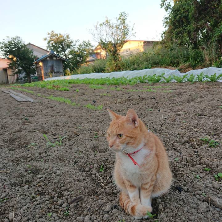 B45a3715 10aa 466f 8c94 d000e0e02f2d 1569358679282