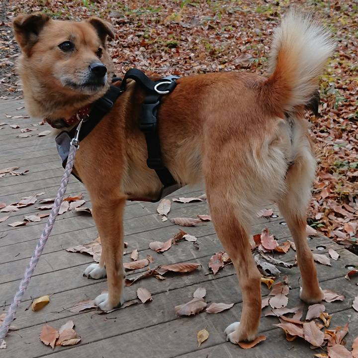 B45a4d32 bc8d 4b0a b01d 41ca764885a7 1550400399105