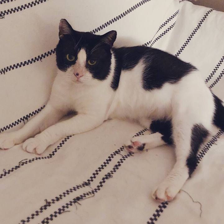 B45a7877 36b0 40d3 b38a 9e6b26520961 1632450355174