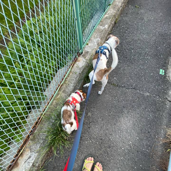 B45a8b85 0886 47c8 b1aa 6764e0afb30a 1653816969594