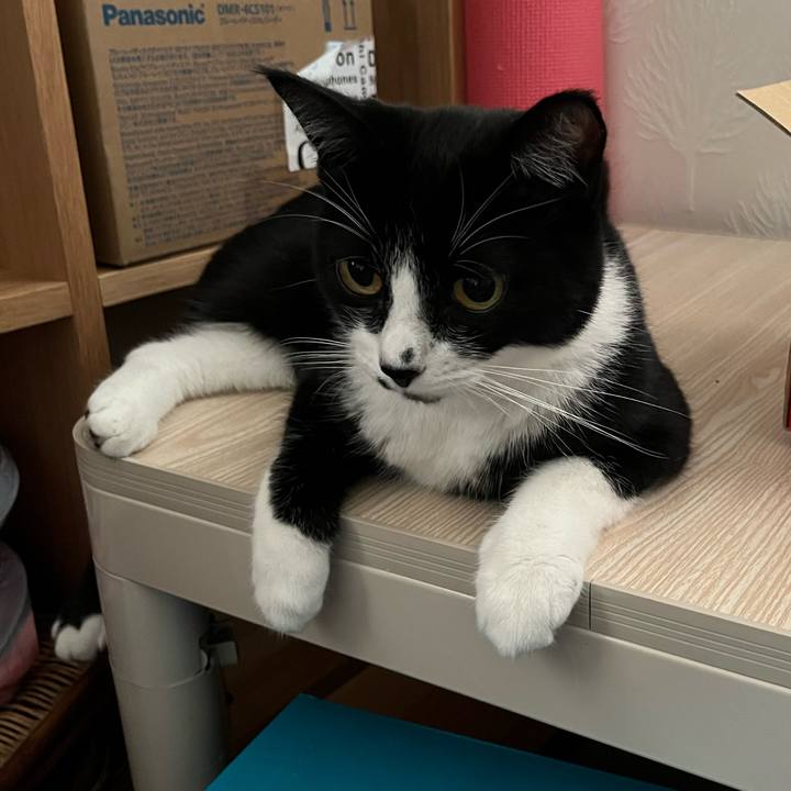 B45aa022 36df 484a 9686 3dc9ce1433d3 1660605197732