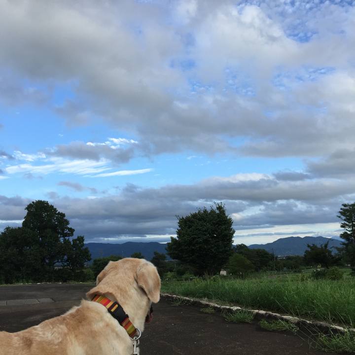 B45ac343 edcd 4714 8f83 fd0be85388a1 1535532729419