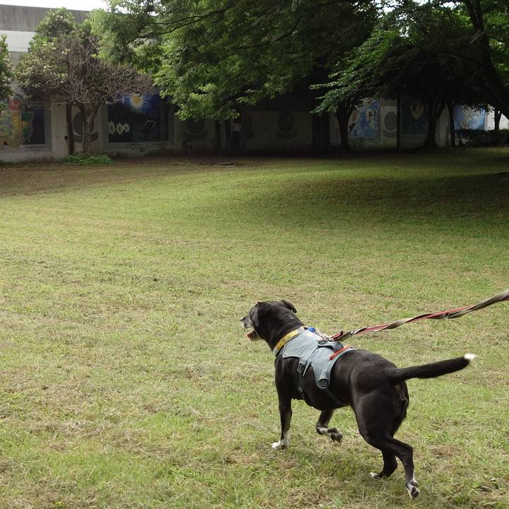 B45ac7a5 64df 4d2f 81ea e4ddd4b30eac 1749772782002