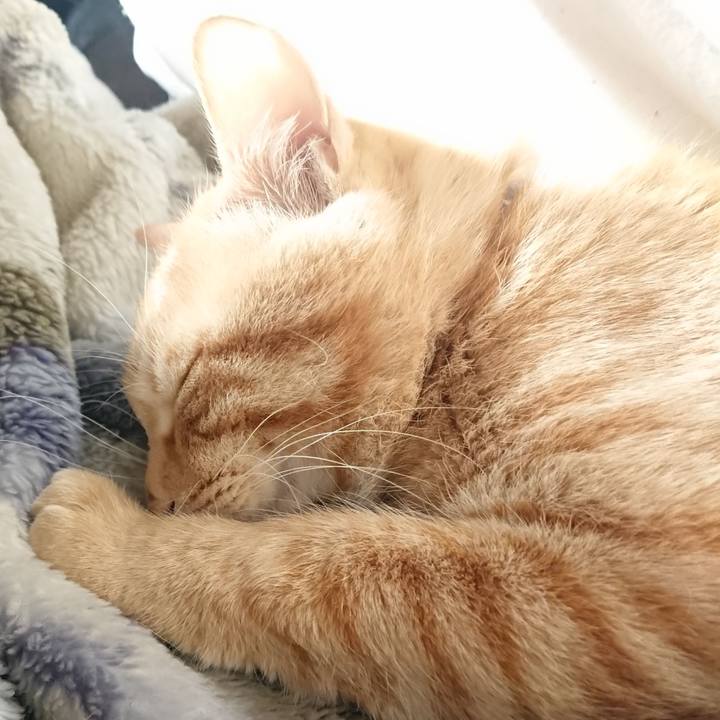 B45af3bf 39e9 415a ae42 f4d5845c7941 1650458753805