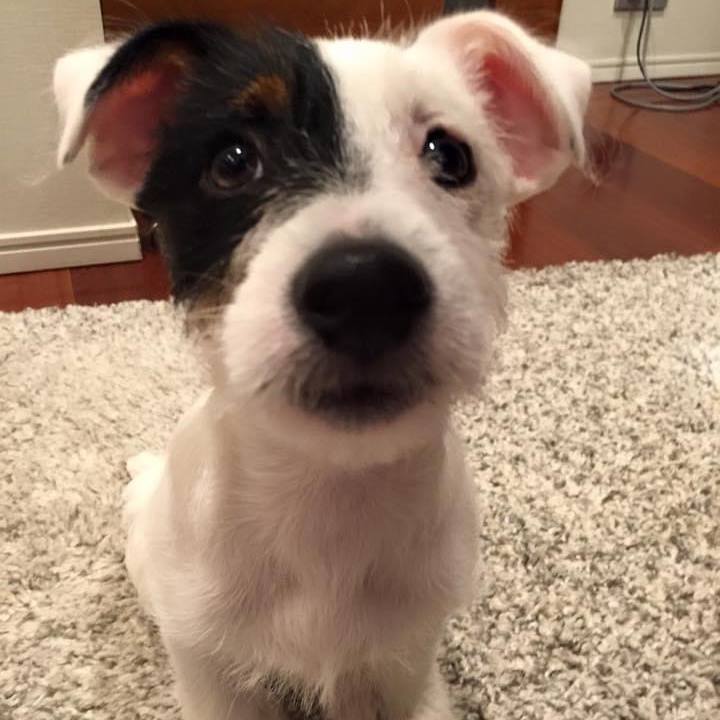 B45b0457 a22f 418d b0da d1b988da1c01 1678273091511