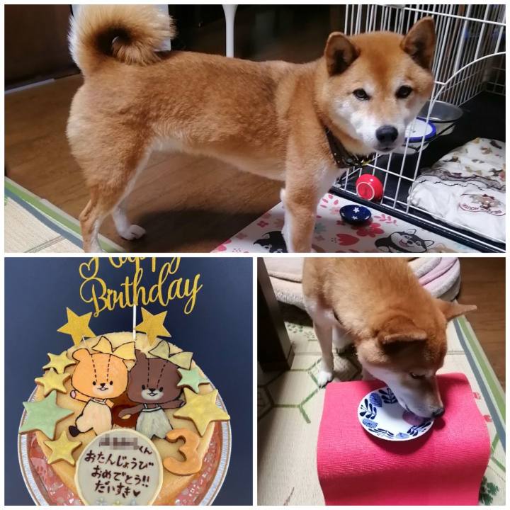 B45b1b63 0a12 4056 ae48 859a8d5be00d 1624965094369