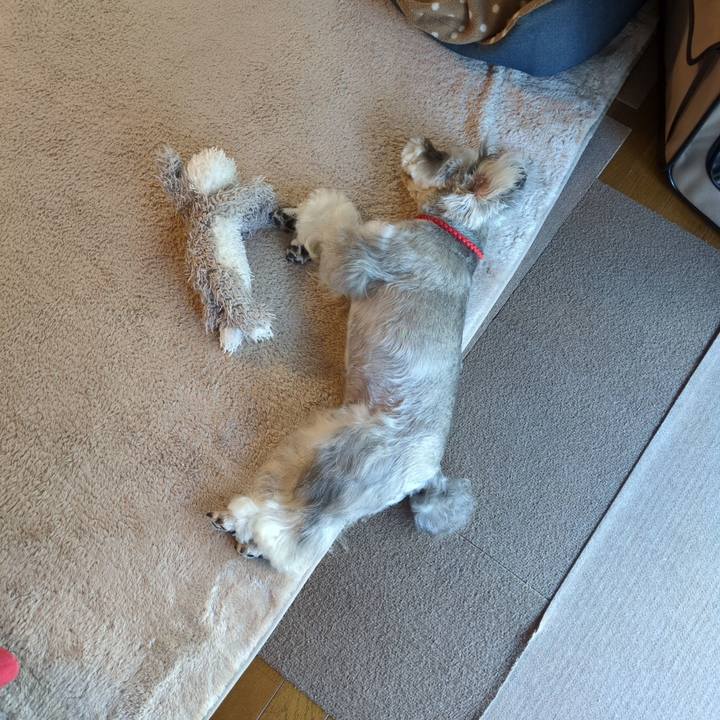 B45b27ca 574b 4ee7 af49 f2ba8b6e56fc 1757982150403