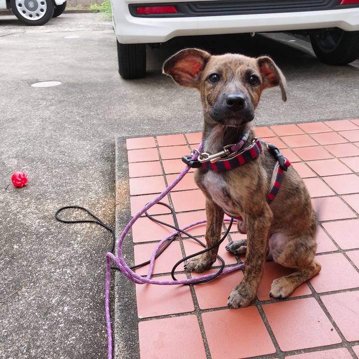 B45b6b85 4362 4ba7 9bf7 2b097b3e617f 1567560896159