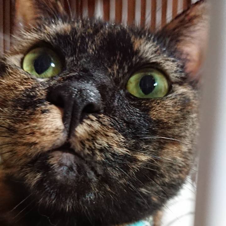 B45b8d9e a9f7 41c5 a195 ac74f6721bb9 1600351828166