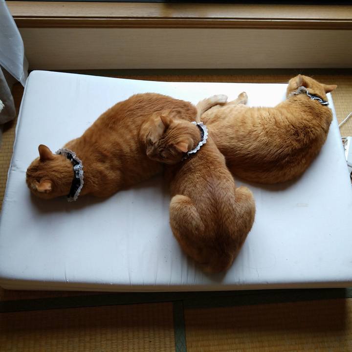 B45b964d 4615 4d2a 8312 5ef528b36158 1616555063380