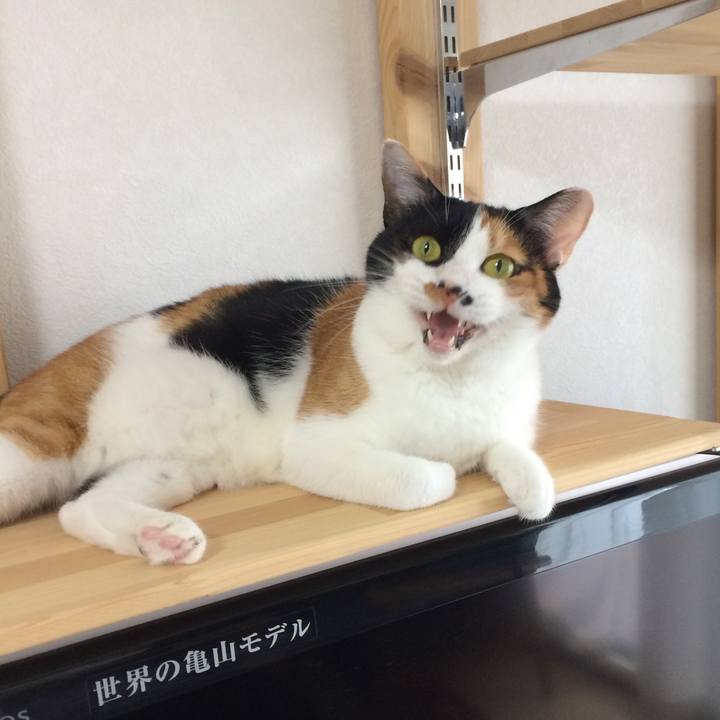 B45bcf4b 5a6f 4280 a321 b95556537b74 1565823349359