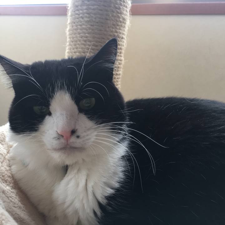 B45bf982 b9e3 4456 b2fd e44c9c08327d 1516148582119